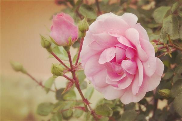 走过|走过的路，看过的风景，都是你的人生