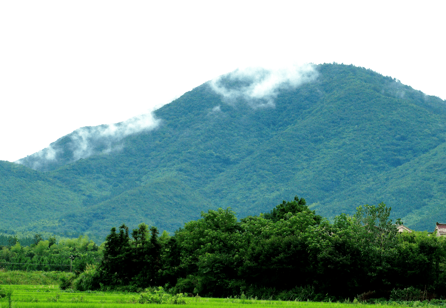 盛夏何处去 最宜伍员山——凌笪乡获评"安徽省避暑旅游目的地"_手机