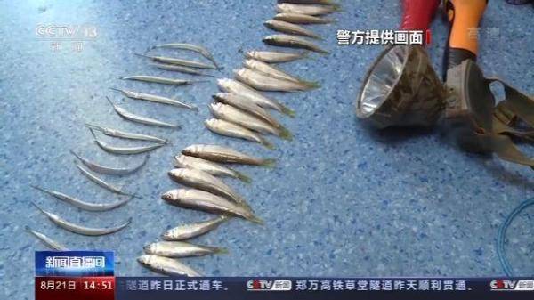 慈惠|武汉警方破获长江流域非法捕捞案