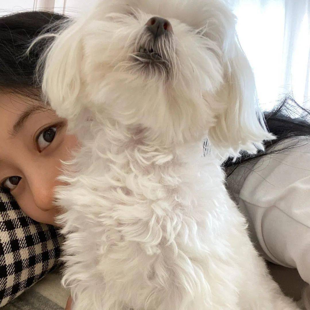 欧尼|小 仙 女 秀 智 的 假 期 日 常