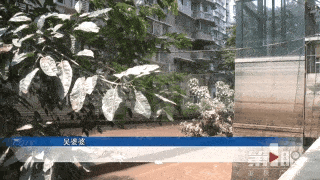 cd71e56e093249918b22fc26d1dbc6b8.gif