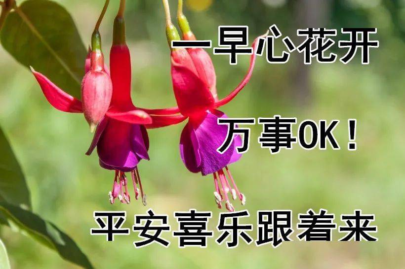 8月21日最漂亮早上好动态表情图片大全,早晨好动图美图大全