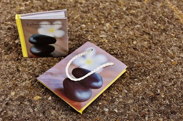 人生|懂得快乐，便不再贫穷；学会快乐，便不再孤单。早安