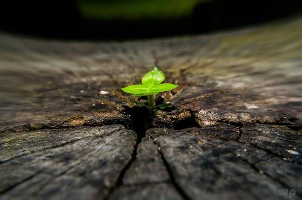 走过|走过的路，看过的风景，都是你的人生