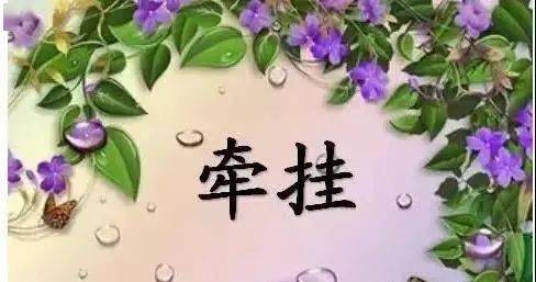 牵, 总是惦记在心. 挂, 总是思念于情. 牵挂.