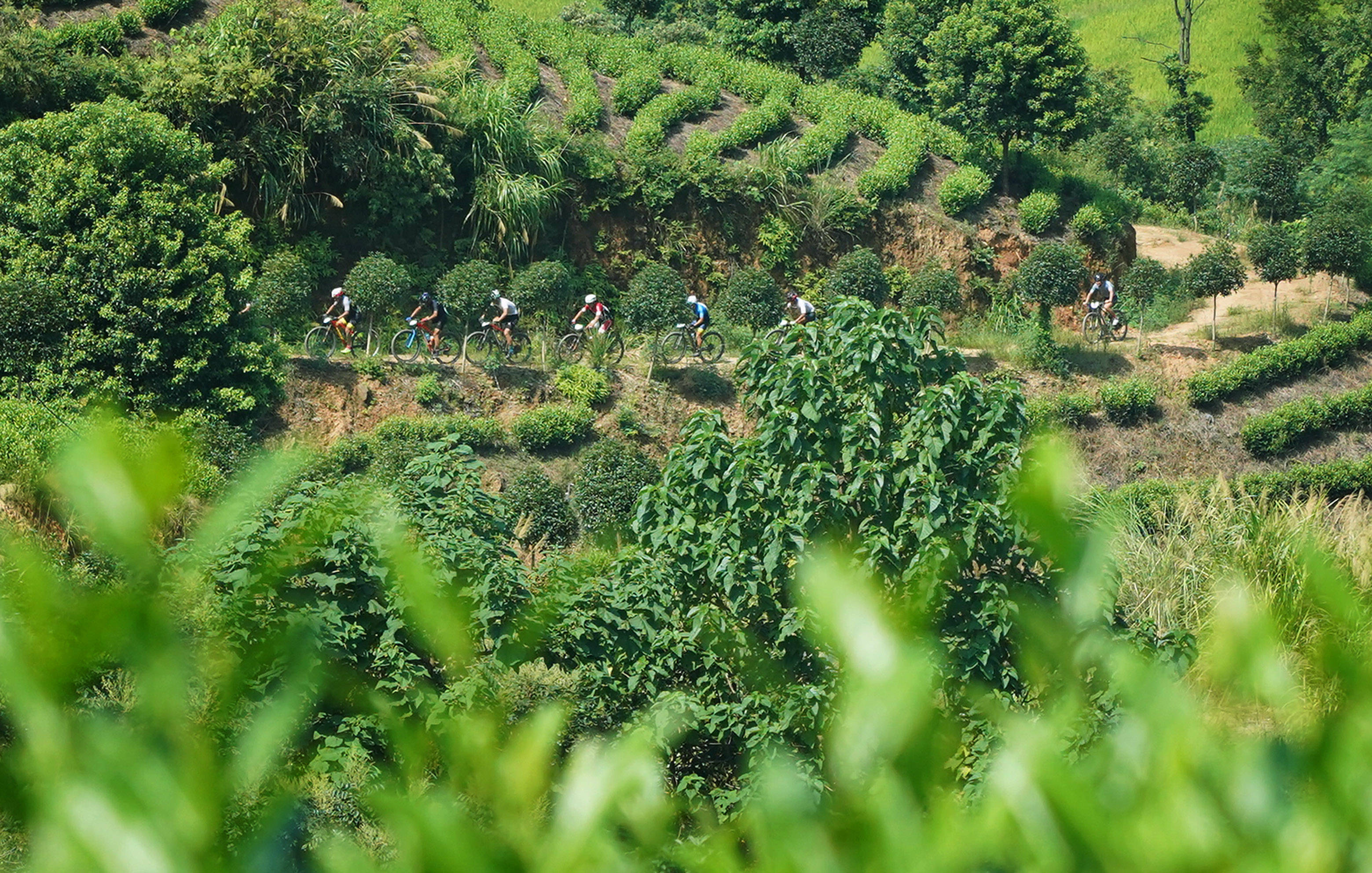 自行车——“茶立方”山地自行车精英赛在江西靖安举行