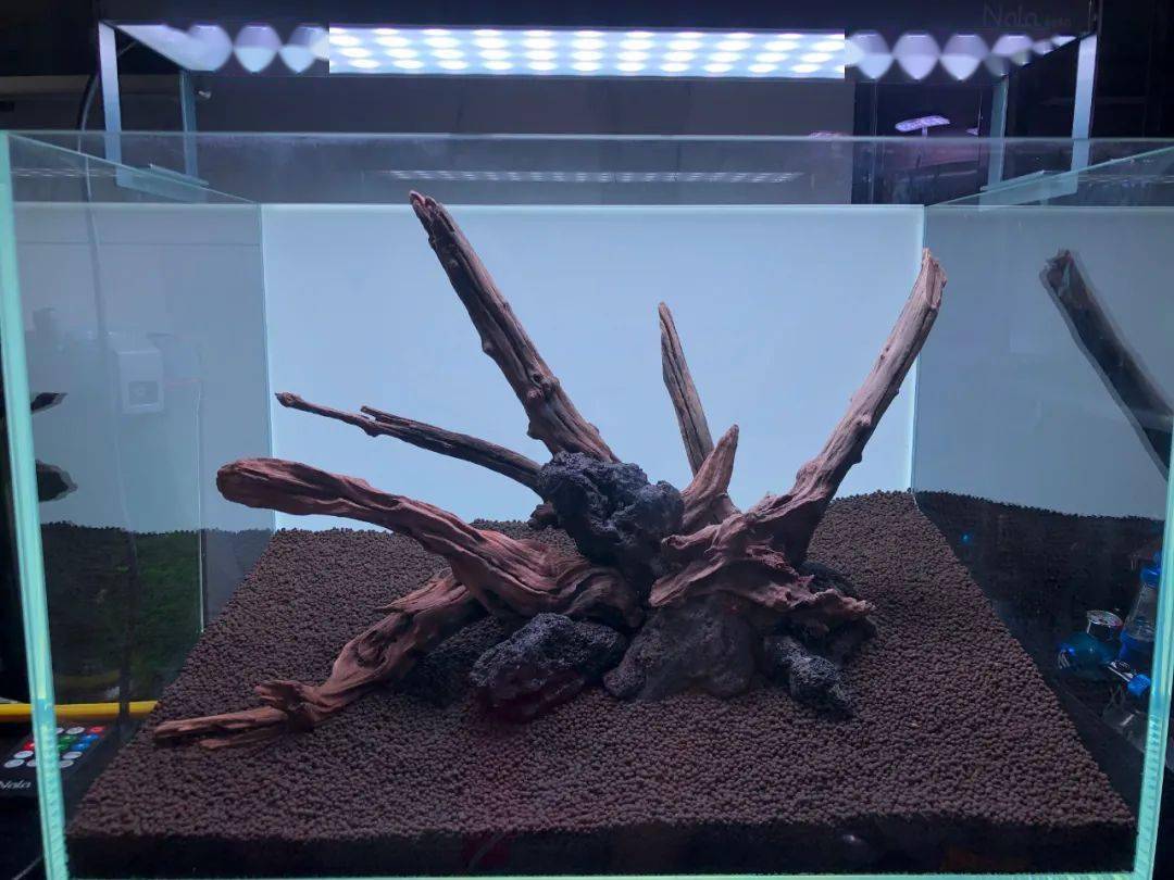 怎么样看自己是什么骨架 5ad453f47a0b43fea94489880d1b96d9.jpeg