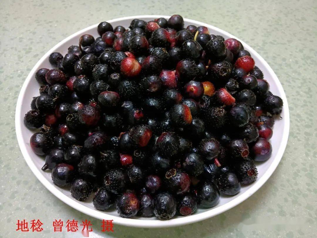 驴得水片尾曲曲谱