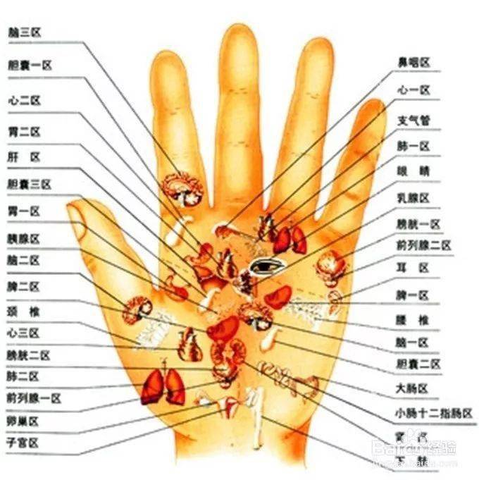 养生|38岁拿下彭于晏，6分长相却凭素颜艳压全场：懂的人知道，人家年轻的秘密都在这……