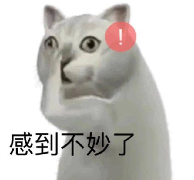 5de9b17129d740d79e0fe0717cbb97e3.jpeg