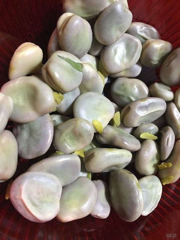 皱纹|去除皱纹、美白护肤，排毒消脂，早吃早好女人爱美多吃的食物