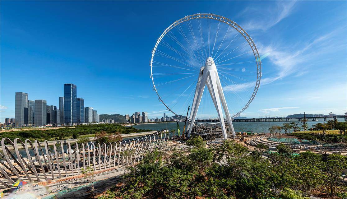 粤港湾大湾区2017经济总量_粤港湾大湾区规划图(2)