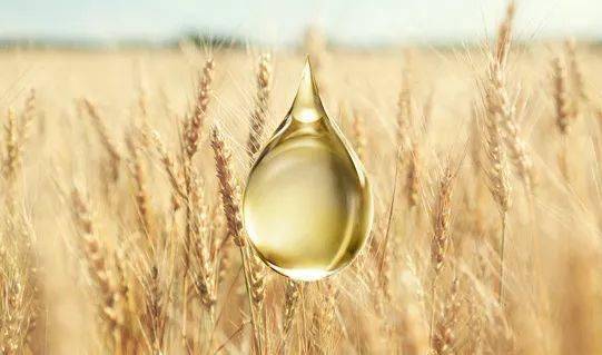 脸蛋|你的脸蛋“一键美颜”,除了滤镜还靠什么?