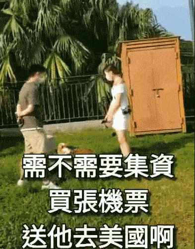 黄之锋遛狗被追着骂：你这混蛋收了多少钱！