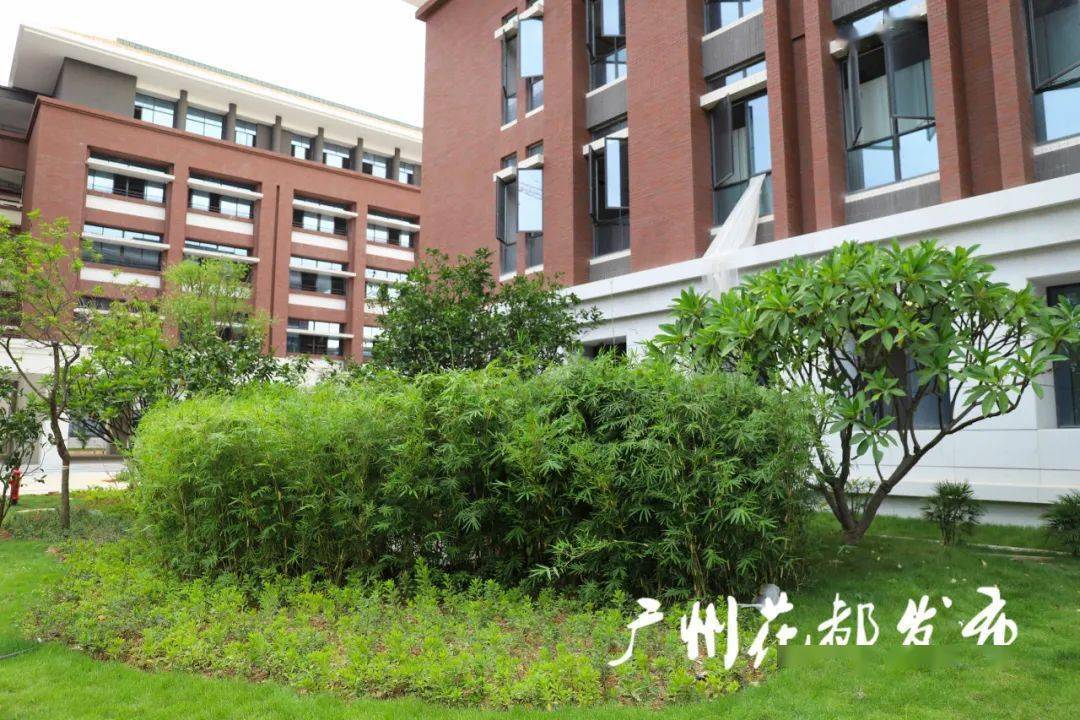 广雅中学花都校区揭牌啦,2021年或面向全市招收新高一