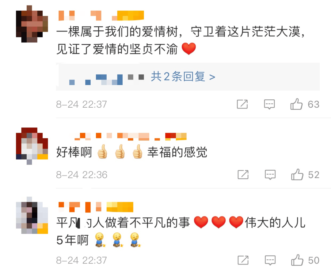 妻子|沙漠里给30万网友种爱情树，这对夫妻火了！