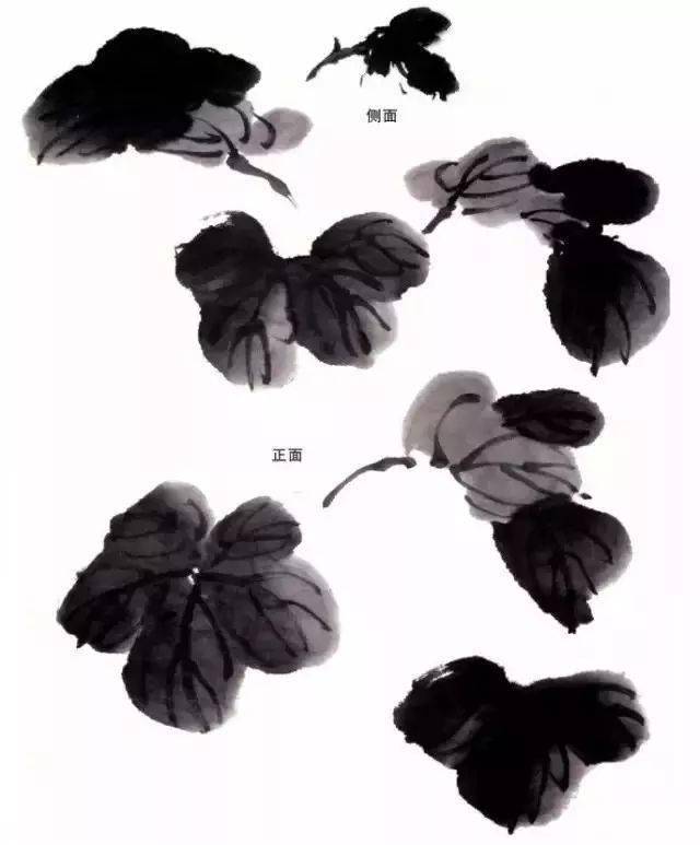 写意丝瓜,叶子,藤蔓,花瓣的画法,点赞收藏!