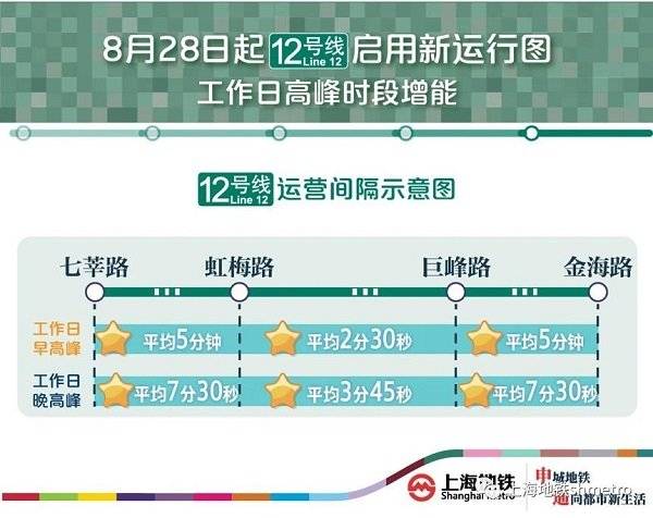 急救|教育部：心肺复苏等急救知识将纳入学生教育内容 | 新民早报