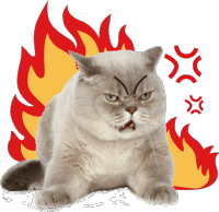 柠檬|直播预热丨亚东太一柠檬分享团开团了!