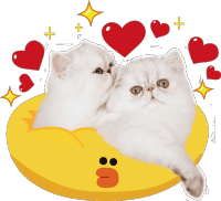 柠檬|直播预热丨亚东太一柠檬分享团开团了!