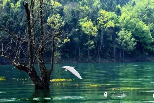 山上美景的歌曲 cd52dce896944d55a515270a7304338f.jpeg