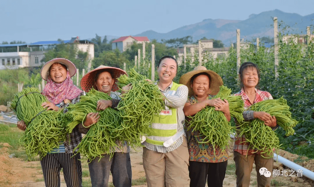 柳州县区2018年三个季度gdp_柳州莫菁(2)
