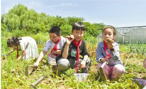 劳动|收获劳动果实