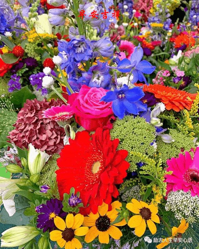 640_800 竖版 竖屏