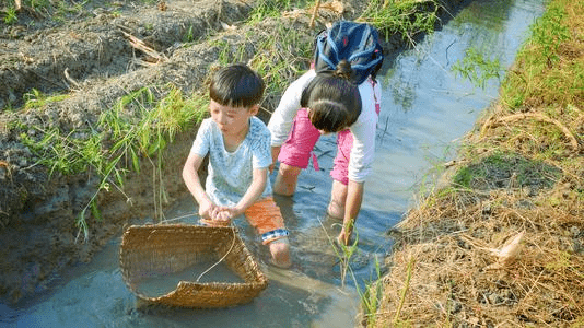 孩子对学习没兴趣怎么办