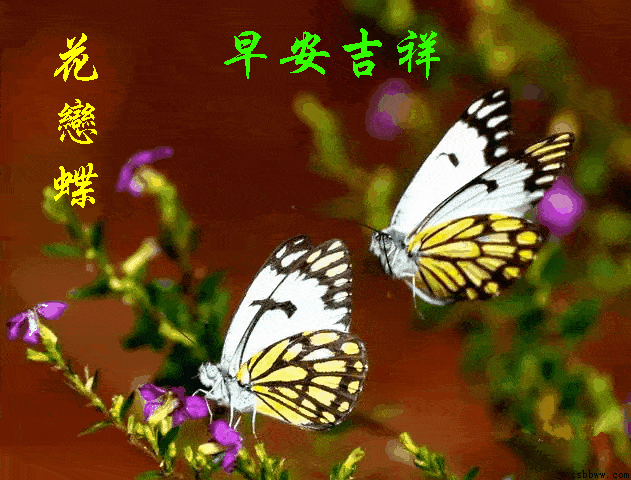 2020829周末愉快《早安心语》