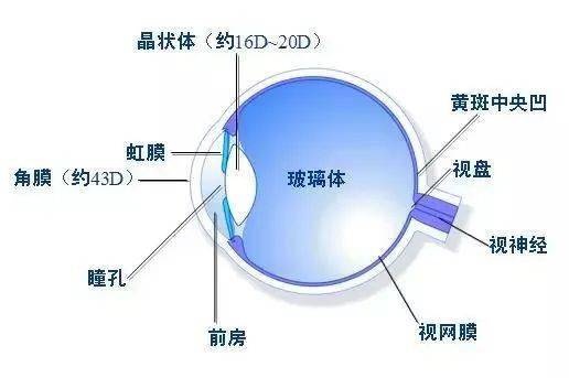 眼底病,别等它严重了再来治