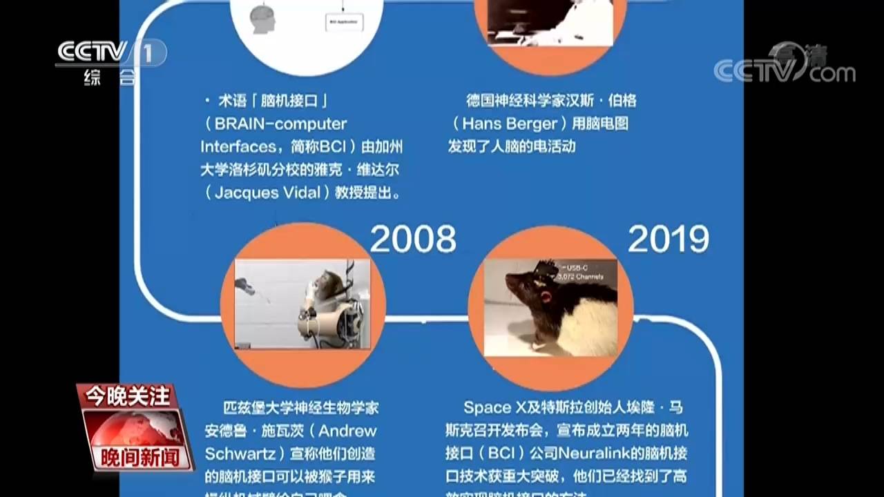 试验|活猪脑机接口试验成功！脑机交互 离我们不远了吗？