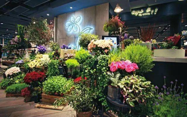 鲜花|4个攻略！这么开花店，不赚钱都难!