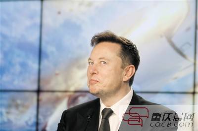 马斯克|马斯克遇上 三只小猪 人类脑机接口 要成真了?