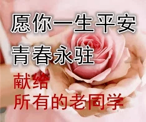 老同学早安快乐问候祝福图片带字有创意的老同学早上好图片带字精选