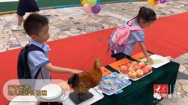 幼儿园|开学第一天摸鸡、摸大葱？山东这个幼儿园画风有点可爱！