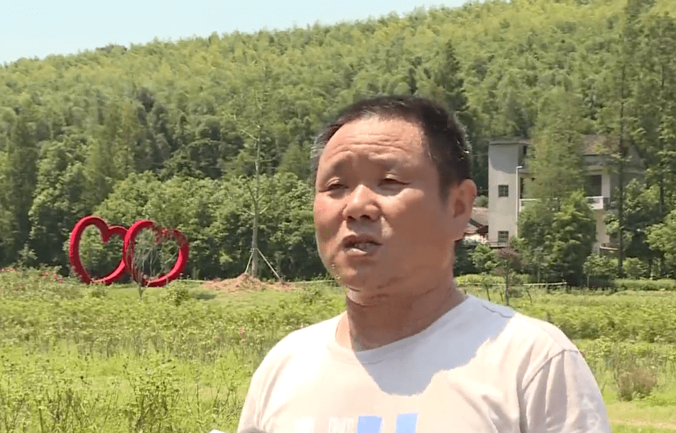 马鞍镇经济总量_马鞍镇朱德祖坟全景图(3)