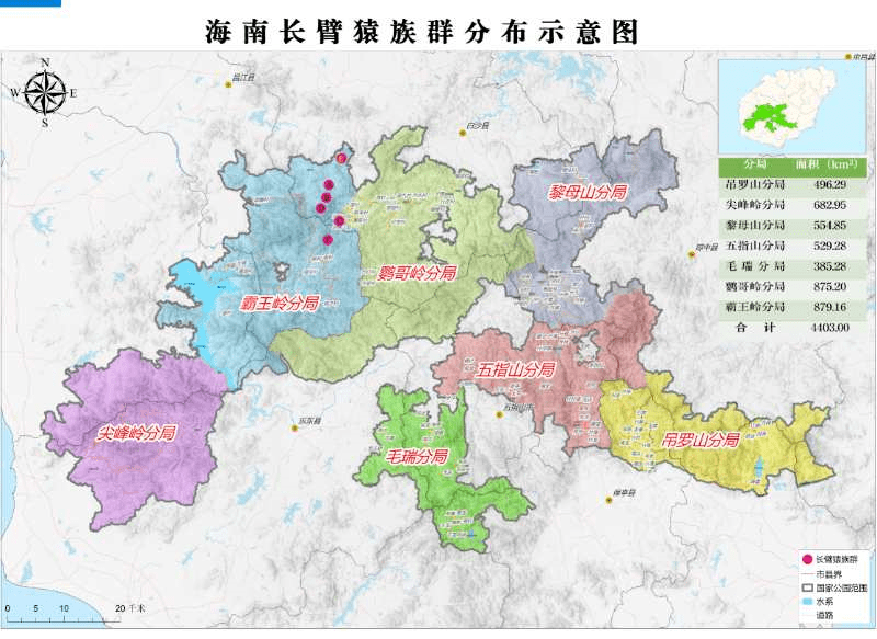 生物多样性丨濒危物种新婚夫妇在海南生宝宝了种群数量增长至5群33只