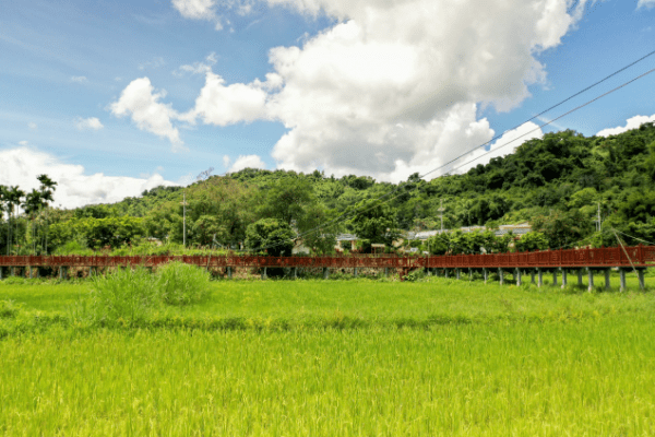 "百城千县万村"调研行 白沙白准村期待"旅游饭"香飘全岛