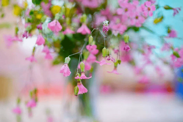 73f262b6c6a547b199b5043cdf4acc53.png
