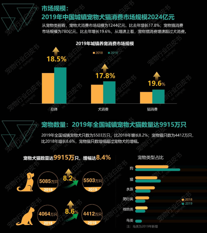 问答|千亿宠物经济，慰藉了什么？丨思客问答