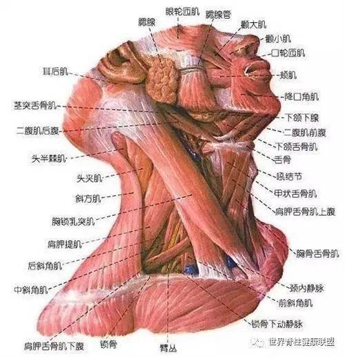 ab59f48f2f5a45b58ce2b5bdaa16046a.jpeg