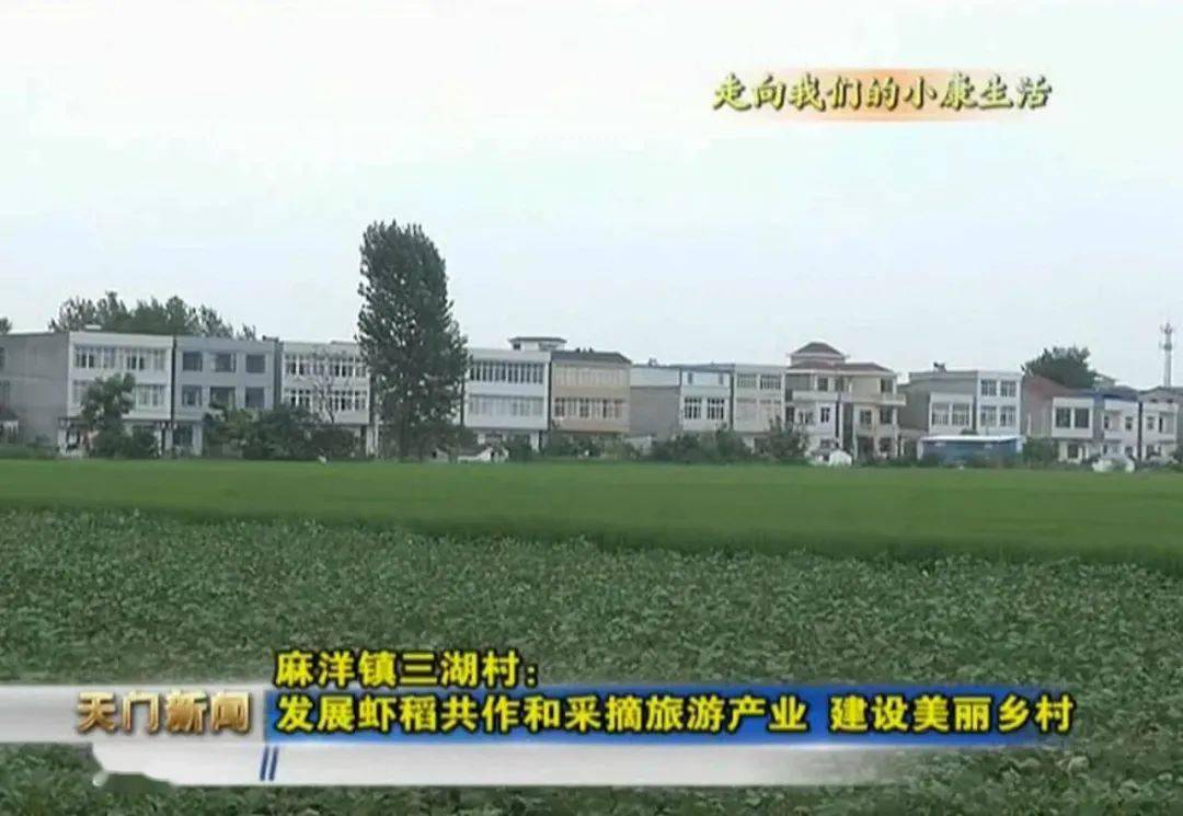 美了美了麻洋镇三湖村