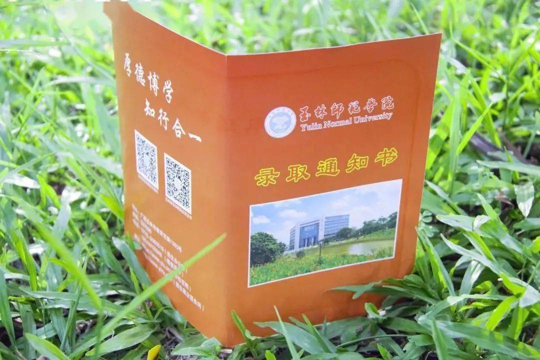 大学新生应征入伍介绍单,高校本专科学生资助政策简介一份,贺州学院