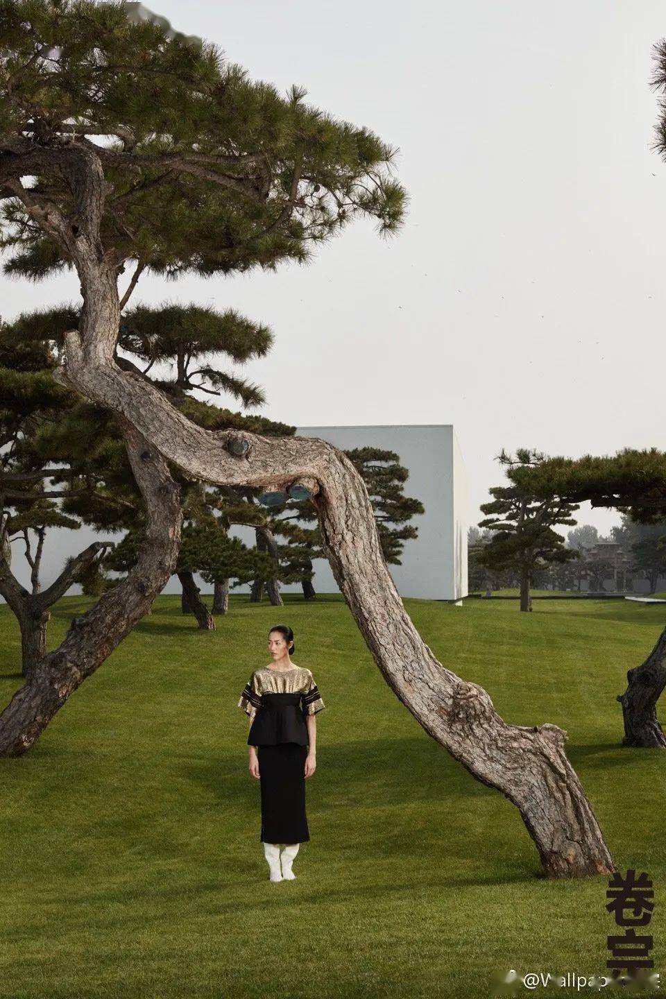 女性|大女人风，越看越好看！