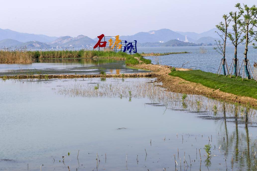 登录查看大图