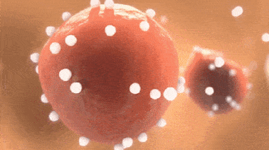 幸福感|热爱生活的人,都会提升自己的幸福感。