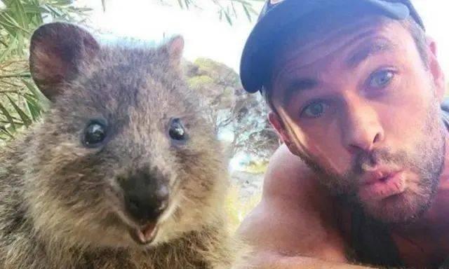 世界上最大的动物长啥样第一名 850e644bf6f243619c59f99661723063.jpeg