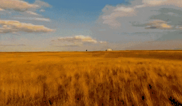 的全麦面包,应该有清新自然的麦香味,深吸一口,仿佛置身于麦田之中