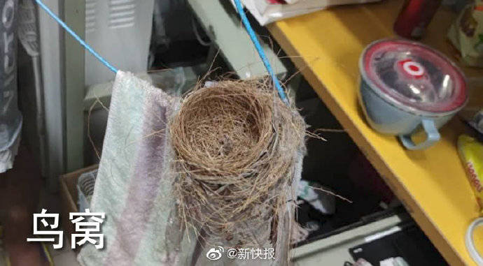 红薯|鸟窝、辣椒、红薯藤..好久不见的宿舍 ,推开门后惊呆了!